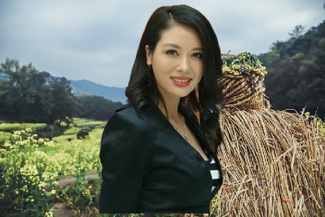 总而言之,17%的支持率,倒也符合大家,对于献礼片的认知,很微妙的心态。