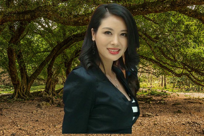 有人来敲门了,在绝对舞力的示意下,助理小关连忙去开门,两个空乘推着小车走了进来。