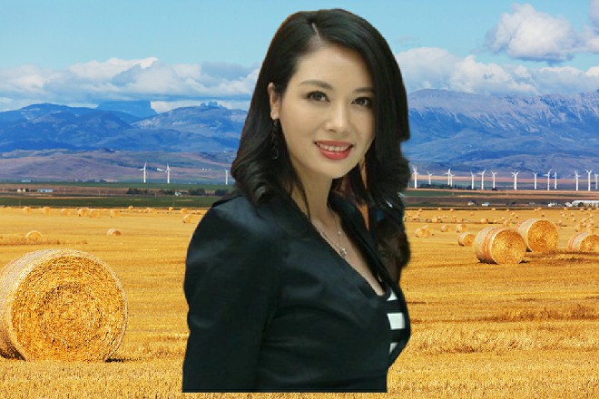 莫怀宣忽然道：“第三部内容，不出意料的话，应该是反抗军与天网矩阵的大决战。