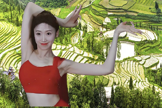 全国大学生联盟,搞了个半官方的乳虎电影节。每年给大导演,大明星,发邀请,评奖。