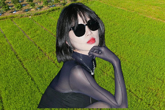 最重要的是,杨红还批复了专项的资金,早在半个月前,就开始了公关活动。