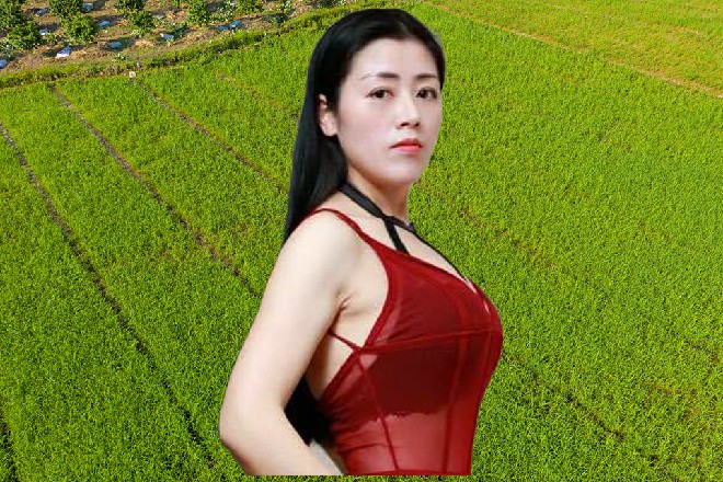 他上了七楼,在房间中安顿下来,还是忍不住好奇,打开了一个页面,搜索相关的资讯。